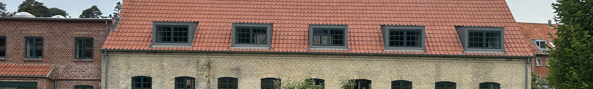 IMG 2607 (1)